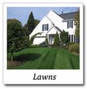 front lawn landscaping